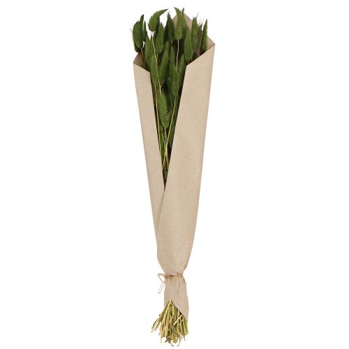 Product Rabbit's Tail Grass (Lagurus) Dried Decorative Green 50-60cm 50g Dried Flowers