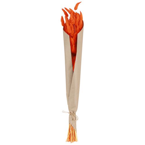 Product Orange hare's tail grass dried flower decoration 50-60cm 50g - Velvety Lagurus for table decoration &amp; crafting