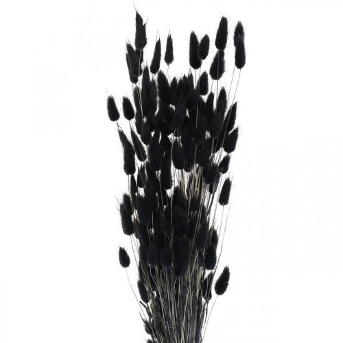 Product Lagurus hare&#39;s tail grass, black, decorative, dried, 60cm, 50g