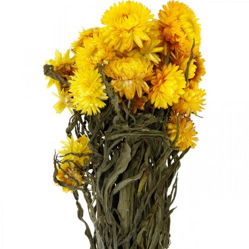 Strawflower yellow dried dried flowers decorative bunch 75g
