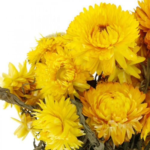 Floristik24 Strawflower yellow dried dried flowers decorative bunch 75g