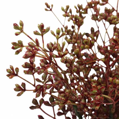 Floristik24 Berry branches Bordeaux 40cm 4pcs