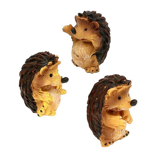 Floristik24 Autumn decoration hedgehog mix 6cm brown 6pcs