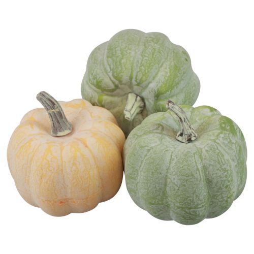 Product Autumn decoration pumpkins whitened orange, green 7.5cm 6pcs