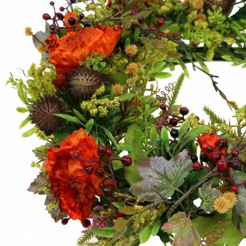 Floristik24 Autumn wreath poppy seeds, physalis orange Ø36cm