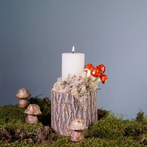 Floristik24 Plant pot elm wood Ø11-13cm H11cm