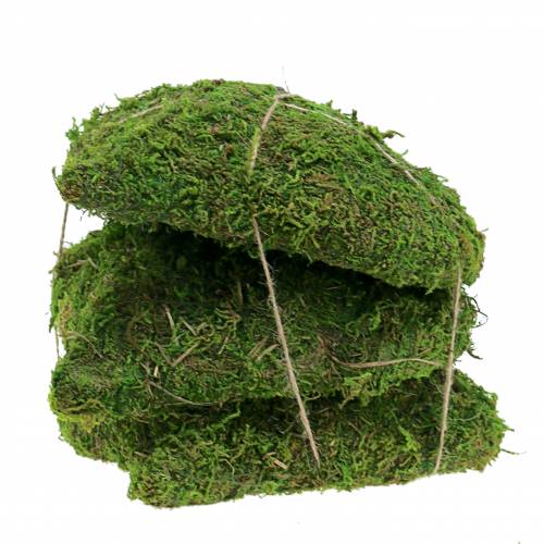 Floristik24 Moss heart green 20cm 3pcs