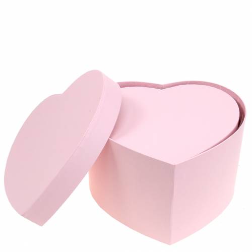 Floristik24 Flower box heart pink Ø18/20cm set of 2