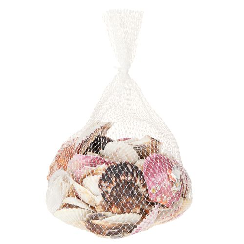 Product Empty cockles in natural shell decoration 3cm–5cm 300g