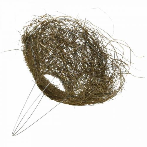 Floristik24 Cuff bouquet hay nature bouquet cuff Ø25cm 6pcs