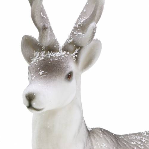 Floristik24 Deco deer flocked/snowed 39cm