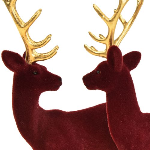 Floristik24 Deer Deco Reindeer Bordeaux Gold Calf Flocked 20cm Set of 2