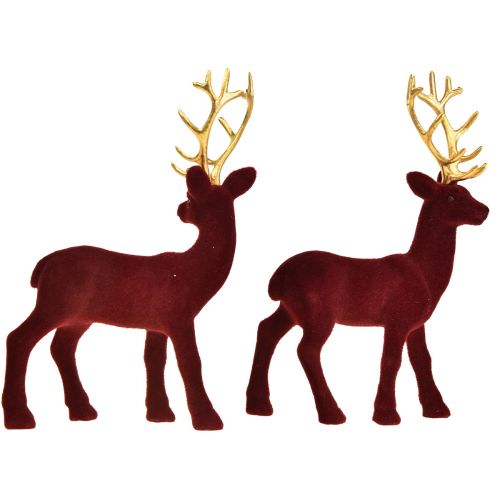 Floristik24 Deer Deco Reindeer Bordeaux Gold Calf Flocked 20cm Set of 2