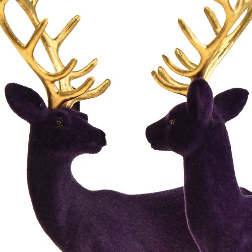 Floristik24 Deer Deco Reindeer Violet Gold Calf Flocked 20cm Set of 2