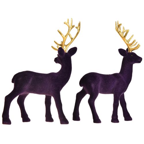 Floristik24 Deer Deco Reindeer Violet Gold Calf Flocked 20cm Set of 2