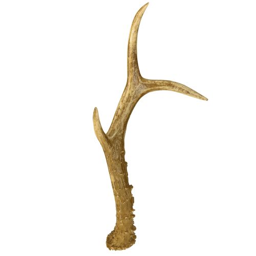 Floristik24 Deer antler decoration artificial antlers table decoration 28×14cm