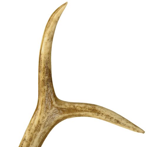 Floristik24 Deer antler decoration artificial antlers table decoration 28×14cm