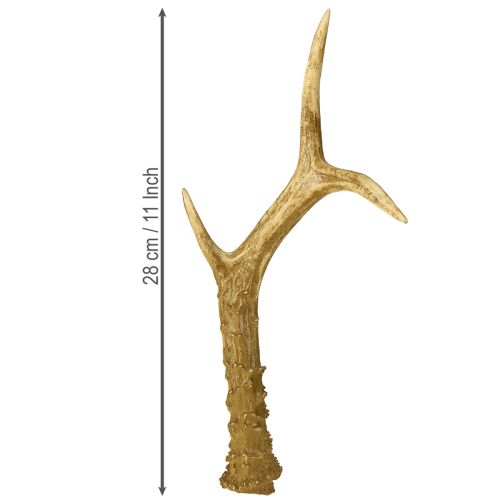Floristik24 Deer antler decoration artificial antlers table decoration 28×14cm