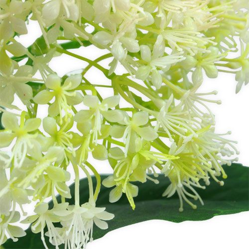 Floristik24 Elder White 42cm