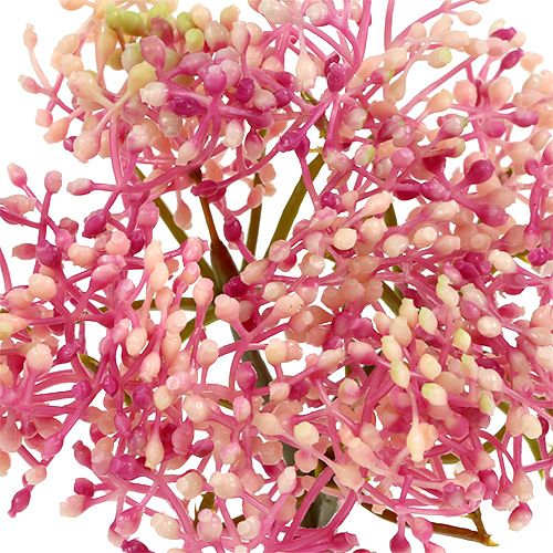 Floristik24 Elderflower branch pink-white L 55cm 4pcs