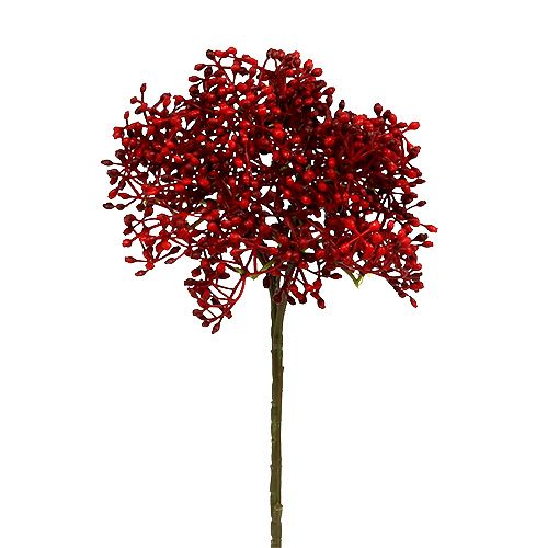 Floristik24 Elderflower branch red 55cm 4pcs
