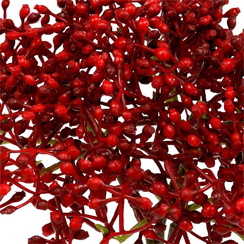 Floristik24 Elderflower branch red 55cm 4pcs