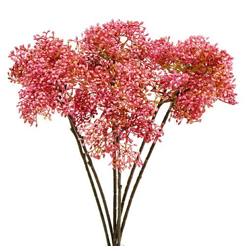 Elderflower branch pink 54.5cm 4pcs
