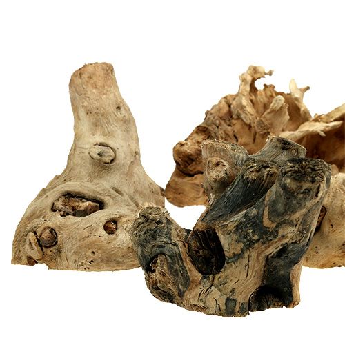 Floristik24 Wood roots natural 8cm - 10cm 500g