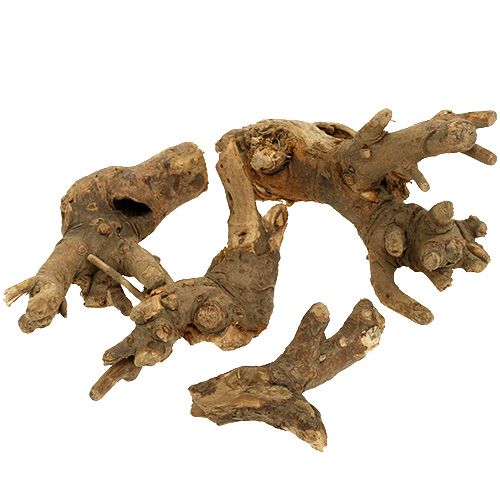 Floristik24 Wood roots natural mix 500g