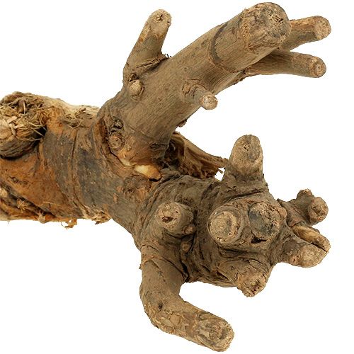 Floristik24 Wood roots natural mix 500g