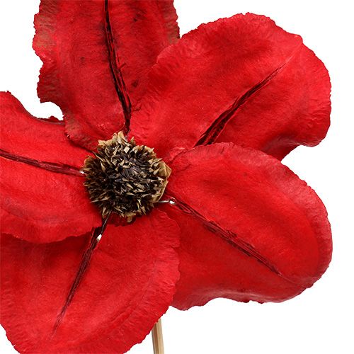Product Wooden flower stakes, red, decorative, 9-12cm, 45cm, 15 pieces.