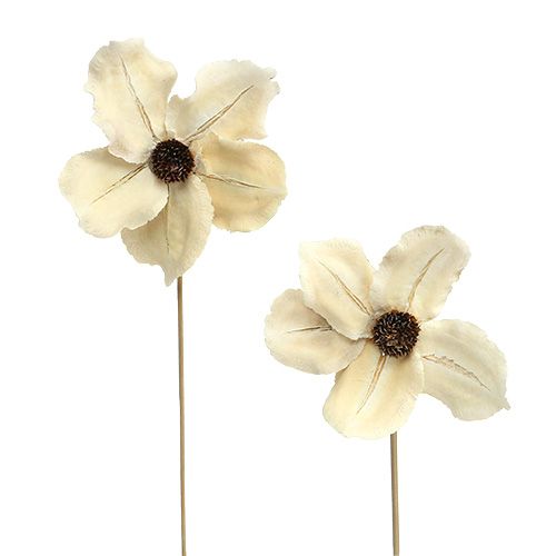 Product Bleached Wooden Flowers on Stick Ø9-12cm L45cm 15 pcs
