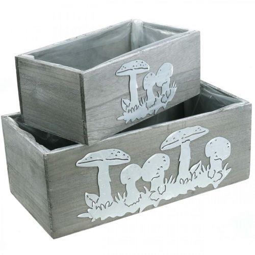 Floristik24 Wooden box set toadstool, autumn decorations, garden decorations, plant boxes L40 / 30cm, set of 2