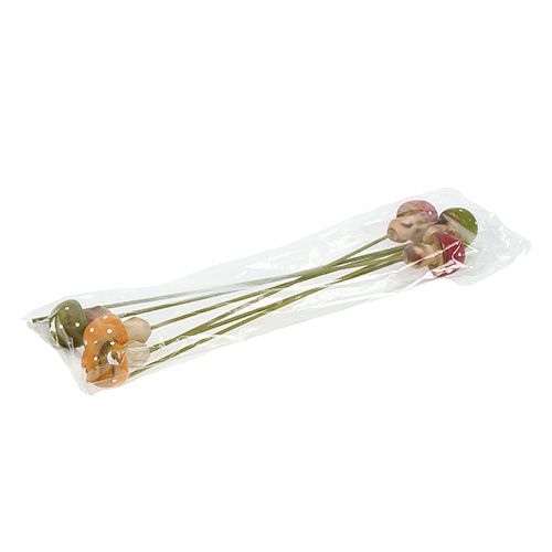 Floristik24 Wooden mushroom on the stick colored assort. 4cm 6pcs