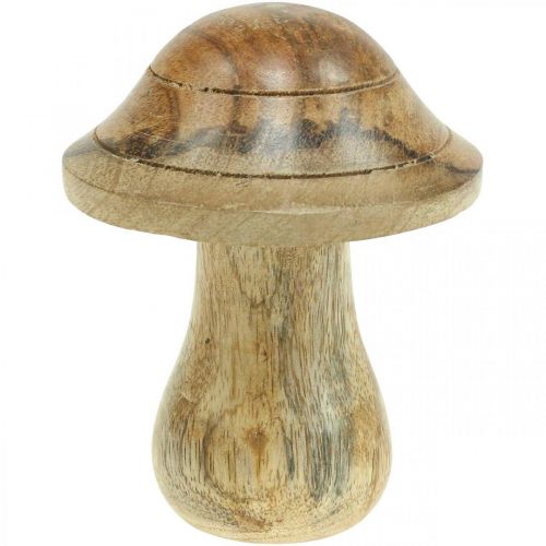Floristik24 Wooden mushroom with grooves Autumn deco mushroom natural mango wood 10×Ø8cm