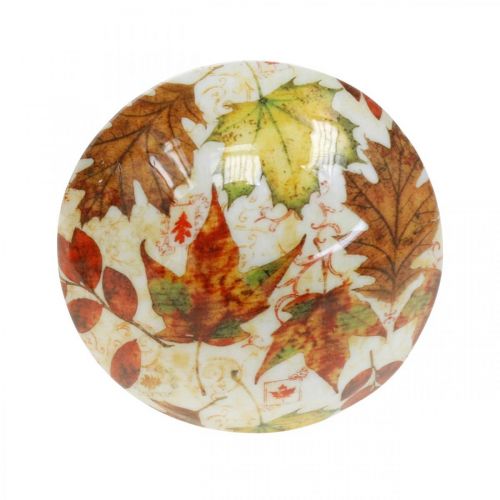 Floristik24 Wooden mushroom decoration autumn leaves white, colorful mushroom table decoration Ø10cm H15cm