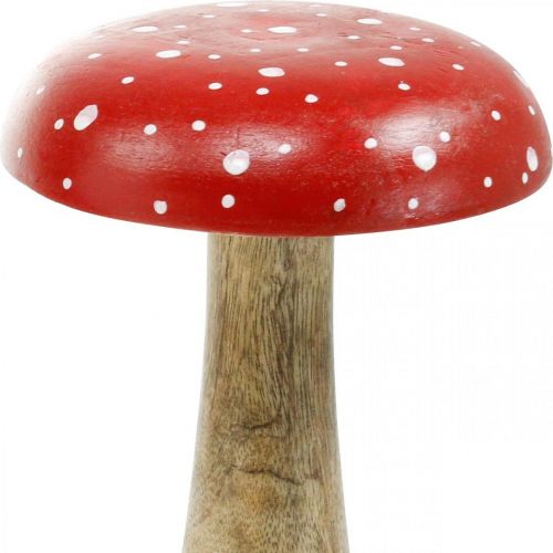 Floristik24 Fly agaric wood large autumn decoration mushroom Ø14cm H24cm