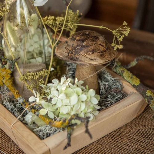 Floristik24 Wooden mushroom with pattern deco mushroom natural, golden wood deco Ø10cm H13cm