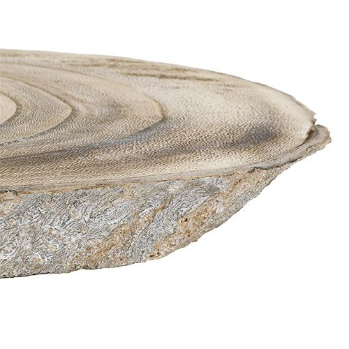 Floristik24 Wood disc oval 30cm - 40cm burnt