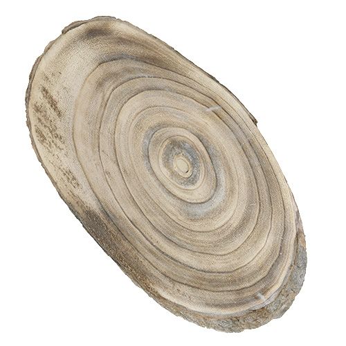 Floristik24 Wood disc oval 30cm - 40cm burnt