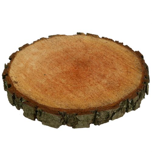 Floristik24 Wooden disc made of natural alder Ø20cm - 24cm