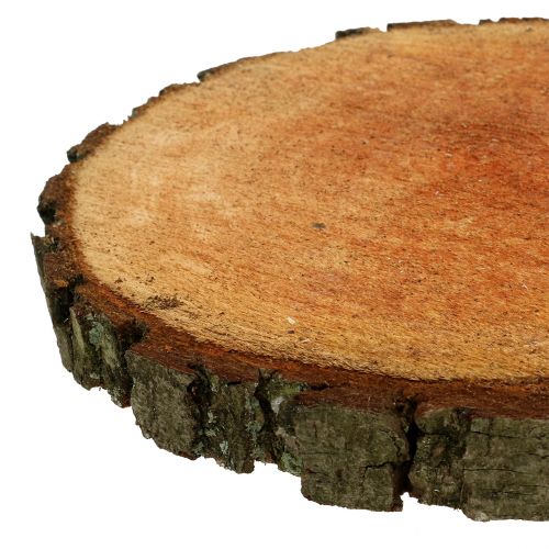 Floristik24 Wooden disc made of natural alder Ø20cm - 24cm