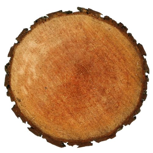 Floristik24 Wooden disc made of natural alder Ø20cm - 24cm