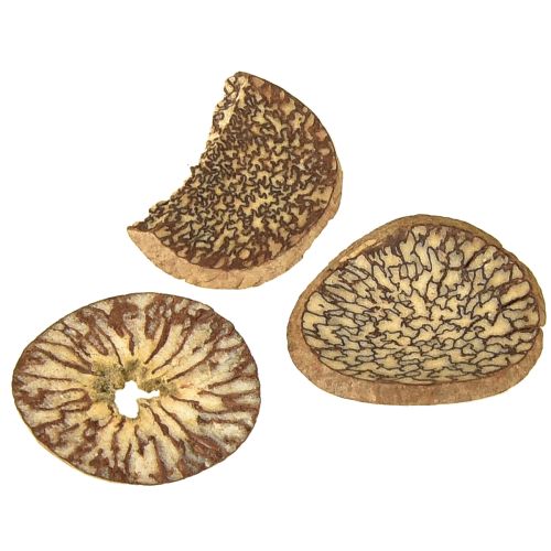 Product Wooden slices, decorative tree fruits, natural, DIY, FSC, 1-3.5cm, 300g