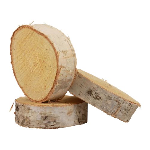 Floristik24 Wooden discs decorative birch wood natural bark Ø7-9cm 20pcs