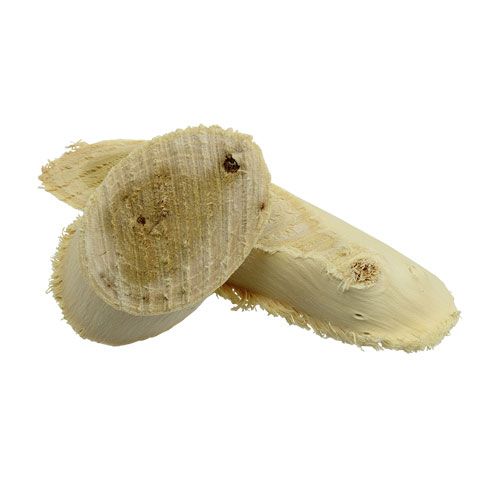 Floristik24 Mulberry wooden slices bleached 500g