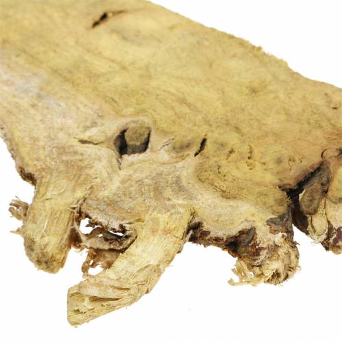 Floristik24 Deco wooden discs nature 1kg