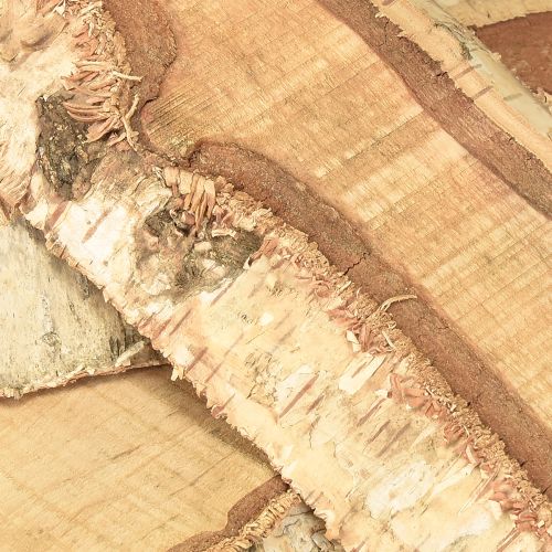 Floristik24 Wooden tray with tree bark birch wood decoration 25×10×2cm 4 pieces