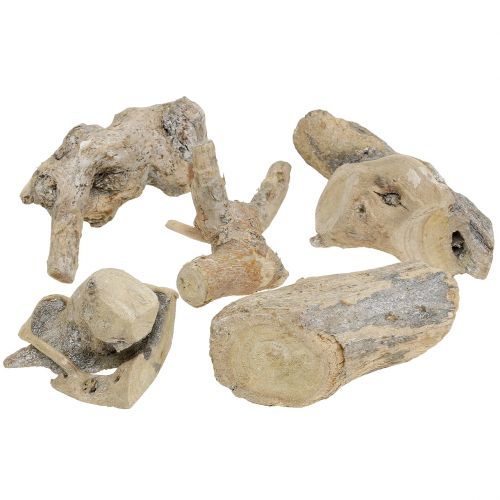 Floristik24 Wood root gray washed 500g