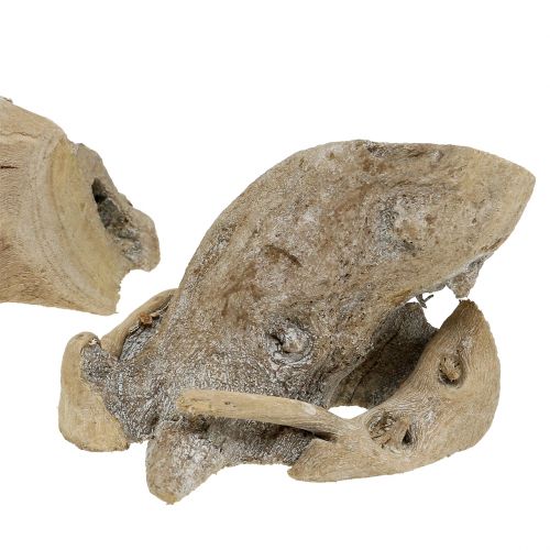 Floristik24 Wood root gray washed 500g